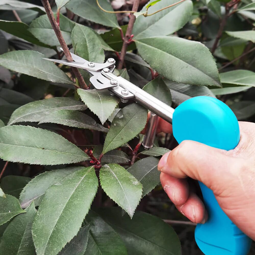 Mounteen Portable Pointed Gardening Scissors