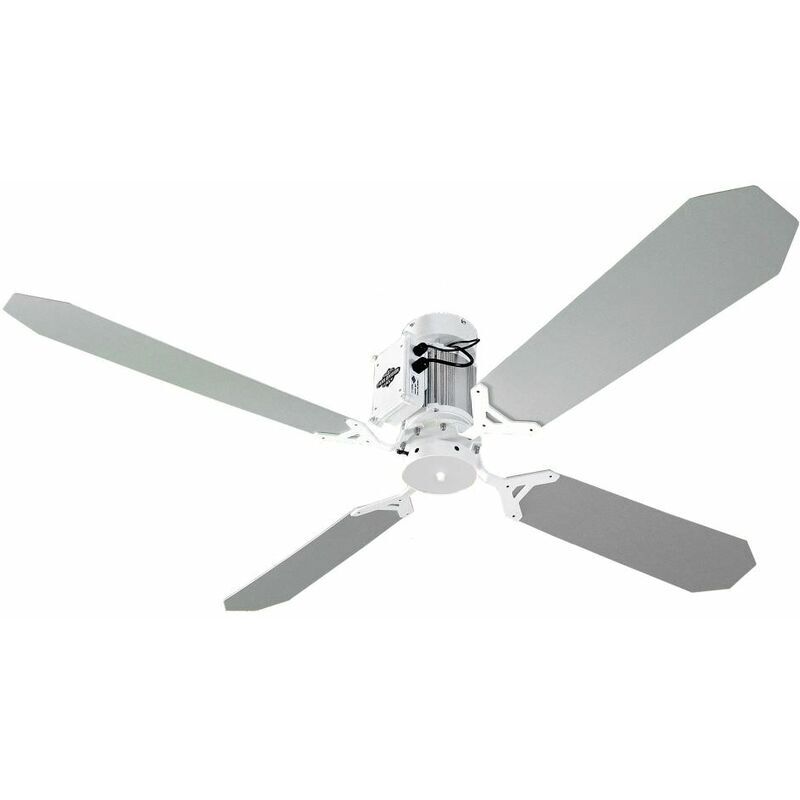 RAZZETTI Eventail gris et blanc GRAN TORINO cm 152xh30 FAN-GTGB-03 - Razzetti