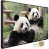 Papermoon Infraroodverwarming Gigantische panda's zeer aangename stralingswarmte multicolor 80 cm x 60 cm x 3 cm