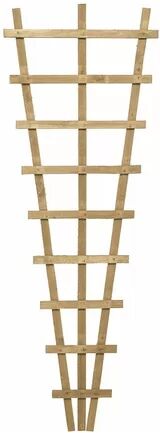 Dakota Fields Lewisburg Wood Fan Trellis (Set of 3) Dakota Fields  - Size: 183cm H x 152.5cm W x 4.4cm D