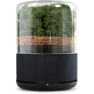 Briiv TRIPLE FILTER NATURAL AIR PURIFIER Air Purifier - BLACK