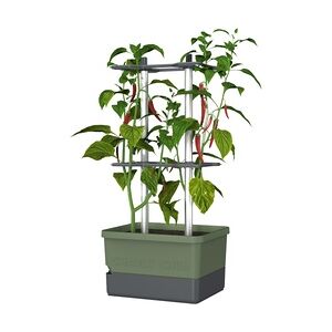 Gusta Garden Charly Chili Drinnen/Draußen Topfpflanzer Freistehend Polypropylen (PP), Aluminium Grün