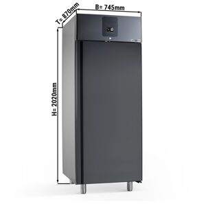 GGM GASTRO - Congélateur à glace PREMIUM PLUS - 745x870mm - 650 litres - avec 1 porte