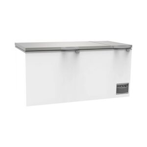 Iarp Congélateur coffre CF 900 SILVER, 2013x755x955mm, statique, couvercle INOX