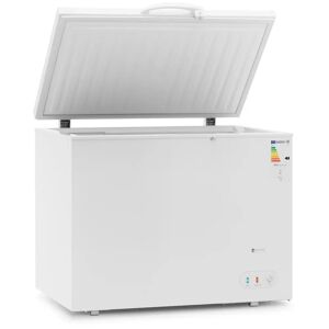 Frysbox - 269 L - Royal Catering - 63 W