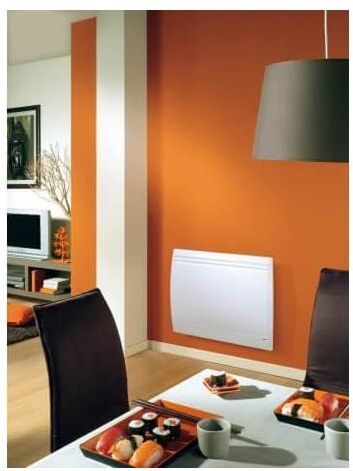 NOIROT Radiateur Fonte NOIROT - ACTIFONTE PLUS 1250W - Horizontal - N1004FGAJ