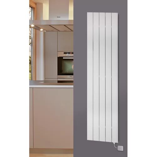 Belfry Heating Andrew Vertical Flat Panel Radiator Belfry Heating Radiator Colour: White, Size: 180cm H x 44.5cm W x 7.1cm D  - Size: 1800cm H X 600cm W X 130cm D