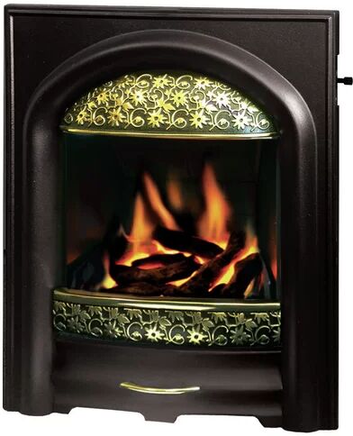 Belfry Heating Elsa Inset Fire Belfry Heating Finish: Black/Brass