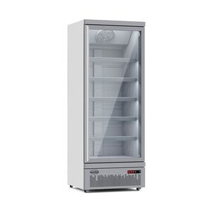 Kühlschrank RHINO auf Rollen   1x Glastür + LED   600 Liter, HxBxT 199,7x75x71cm   0/+10°C   Grau + CHEFGASTRO Geschirrtuch