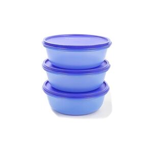 TUPPERWARE Kühlschrank Hit-Parade 630ml dunkelblau (3)