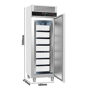 GGM Gastro - Armoire refrigeree pour poissons ECO - EN 60x40- 600 litres - avec 1 porte Argent