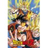 gb-eye GB Eye Maxi Póster Dragon Ball Z Goku 91.5x61cm