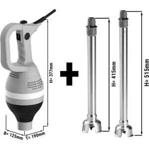 GGM GASTRO - Mixeur plongeant avec pied mixeur 350 & 450mm - 430 watts - Vitesse réglable en continu