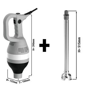 GGM GASTRO - Mixeur plongeant avec pied 450mm - 750 watts - 1 vitesse