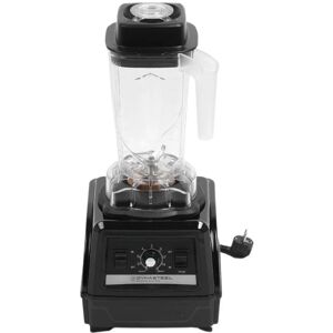 Dynasteel Blender Professionnel 2,5 L