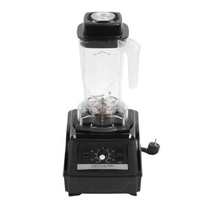 Dynasteel Blender Professionnel 2,5 L