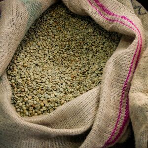 Kaffebox Honduras El Beneficio Washed - Green Coffee Beans