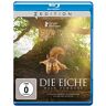 Michel Seydoux - Die Eiche - Mein Zuhause [Blu-ray] - Preis vom h