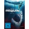 le-Van Kiet - The Requin - Der Hai - Preis vom h