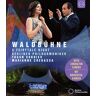 Berliner Philharmoniker - Berliner Philharmoniker Waldbühne 2019 [Blu-ray] - Preis vom 17.05.2024 04:53:12 h
