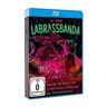 Philipp Lenner Labrassbanda - Around The World Live - 10 Jahre Labrassbanda [Blu-Ray]