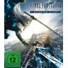 Sony Pictures Entertainment (PLAION PICTURES) - Final Fantasy VII: Advent Children (Director's Cut)  (DE)