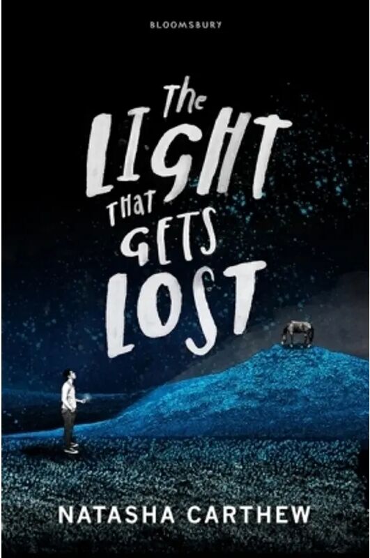 Bloomsbury Childrens The Light That Gets Lost