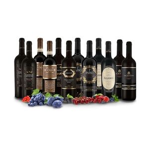 Probierpaket XL Die besten Rotweine von Torrevento