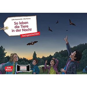 Lydia Hauenschild - So leben die Tiere in der Nacht. Kamishibai Bildkartenset: Entdecken - Erzählen - Begreifen: Sachgeschichten. Mit dem Erzähltheater Natur-Wissen für ... (Sachgeschichten für unser Erzähltheater)