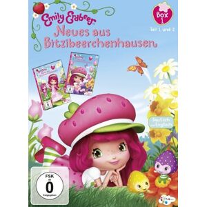 GEBRAUCHT Emily Erdbeer - Neues aus Bitzibeerchenhausen, Box 1 [2 DVDs] - Preis vom 12.05.2024 04:50:34 h