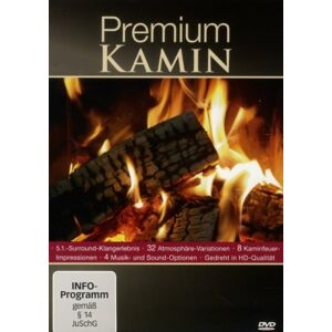 GEBRAUCHT Premium Kamin - Preis vom 01.06.2024 05:04:23 h