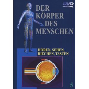 GEBRAUCHT Der Körper des Menschen 5 - Hören, Sehen, Riechen, Tasten - Preis vom 10.05.2024 04:50:37 h