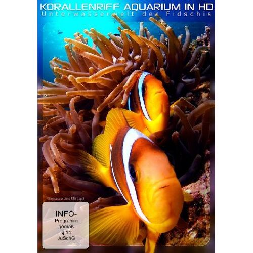 – GEBRAUCHT Korallenriff Aquarium in HD – Die Unterwasserwelt der Fidschis – Preis vom 08.01.2024 05:55:10 h