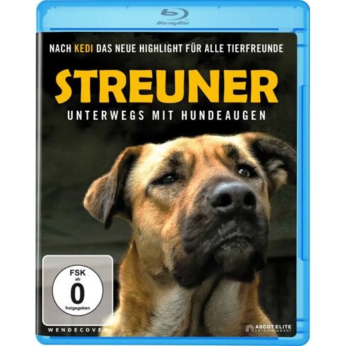 Ascot Elite Streuner - Unterwegs Mit Hundeaugen