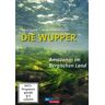 Bergischer Verlag Die Wupper - Amazonas Im Bergischen Land