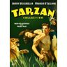 Tarzan Der Affenmensch / Tarzans Rache