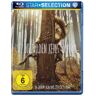 Wo Die Wilden Kerle Wohnen [Blu-Ray]