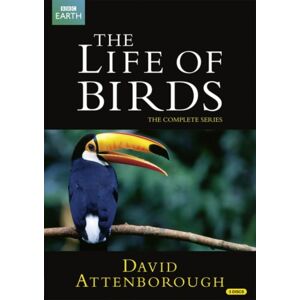 David Attenborough: The Life of Birds - The Complete Series (3 disc) (Import)