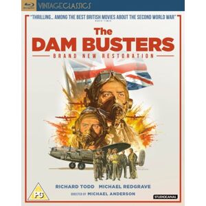 The Dam Busters (Blu-ray) (Import)