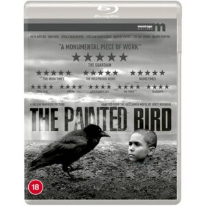 Painted Bird (Blu-ray) (Import)