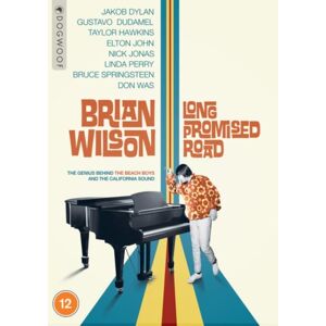 Brian Wilson: Long Promised Road (Import)