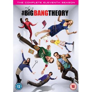 MediaTronixs The Big Bang Theory: The Complete Eleventh Season DVD (2018) Johnny Galecki Pre-Owned Region 2