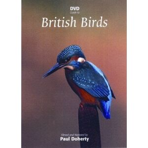 MediaTronixs British Birds DVD (2010) Paul Docherty Cert E 3 Discs Pre-Owned Region 2