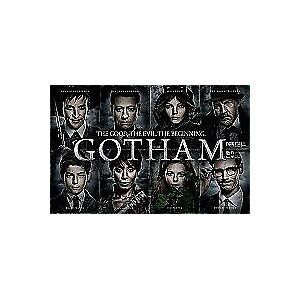 MediaTronixs Gotham: The Complete First Season DVD (2015) Benjamin McKenzie Cert 15 6 Discs Region 2