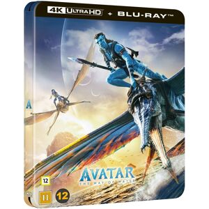 Avatar The Way of Water  - Limited Steelbook (4K Ultra HD + Blu-ray) (3 disc)