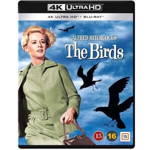 The Birds (4K Ultra HD + Blu-ray)