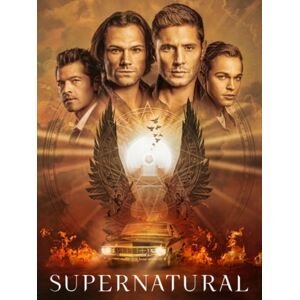 Supernatural - Season 15 (Import)