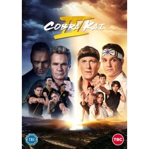 Cobra Kai - Season 4 (Import)