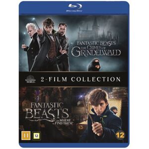 Fantastic Beasts 1-2 (Blu-ray) (2 disc)