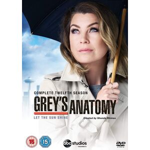 Grey's Anatomy - Season 12 (6 disc) (Import)